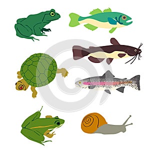 Graphic Images of Fish & Reptiles