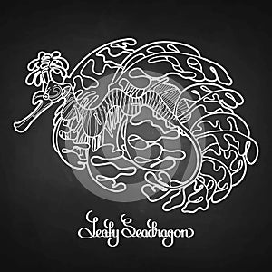 Graphic Leafy Seadragon