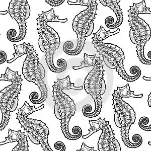 Graphic Leafy Seadragon seamless pattern