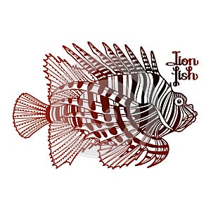 Graphic lion fish
