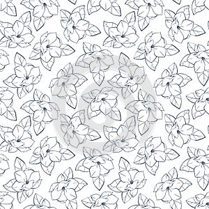 Graphic magnolia flowers with leaves. Vector spring and summer seamless pattern. Coloring book page design for adults and kids.