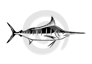 Graphic marlin, vector