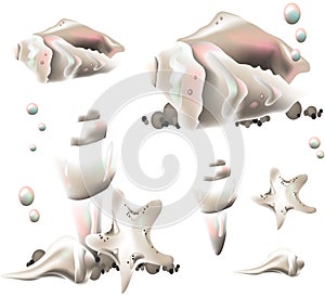 Graphic Ocean Seashells