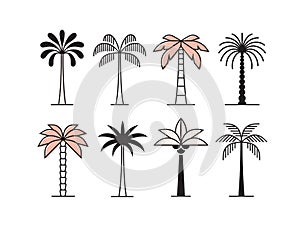 Graphic palm tree icon, logo set