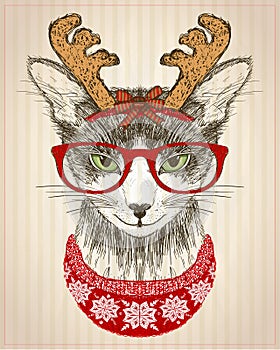 Graphic poster with hipster cat dressed in red glasses, deer horns hat and red knitted sweater, new year card, christmas pet funny