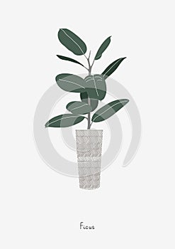 Graphic print of Ficus Tree