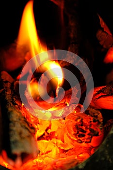 The graphic resource consists of burning firewood