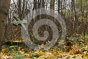 Graphic resources background image of an old abandoned cemetery in the fall