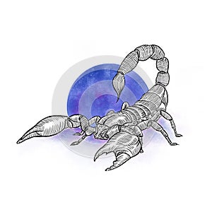 Graphic scorpio with moon on white background