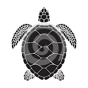 Graphic sea turtle