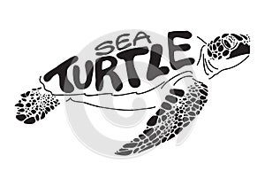 Graphic sea turtle