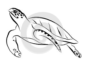 Graphic sea turtle, flat style, vector