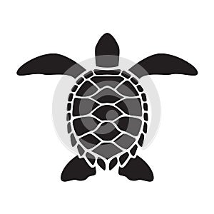 Graphic sea turtle, vector