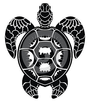 Graphic sea turtle vector design