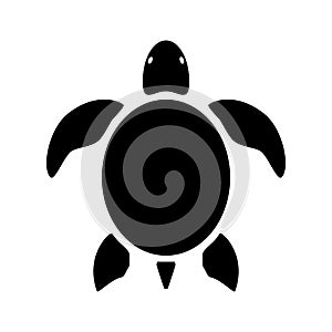 graphic sea turtle , vector illustration of sea turtle , vector of turtle design