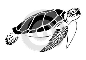 Graphic sea turtle, vector