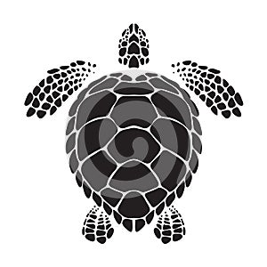 Graphic sea turtle, vector