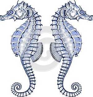 Graphic Seahorse