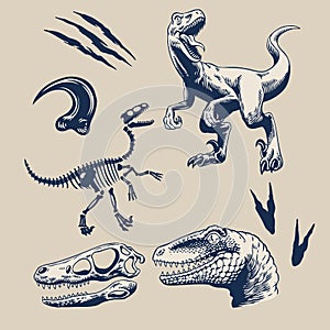 Graphic Set of Raptors Isolated Vector Illustration photo