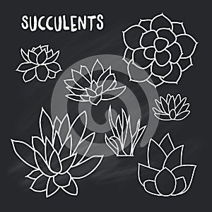 Graphic Set of succulents on chalk board for design of cards, invitations