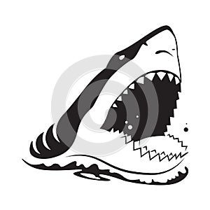 Graphic shark, vector