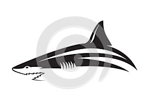 Graphic shark