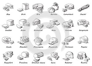 Graphic sketch of different cheeses.