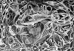 Graphic sketch in the style of abstract expressionism. Twisting black, and white lines. Abstract background with intricate interwe