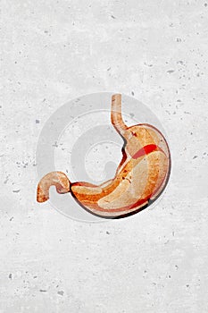 Graphic stylized illustration of iconic symbols the internal human stomach organ - part of a set