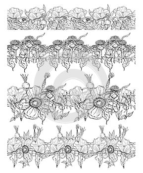 Graphic vector plant sets with wild rose flowers and flower buds