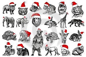 Graphical big collection of animals in Santa Claus red hats isolated on white background. Christmas elements for design
