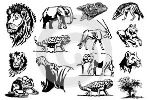 Graphical big set of African animals on white background, vector illustration