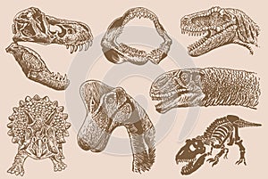 Graphical big vintage set of dinosaurs on sepia background, vector illustration.Fossils