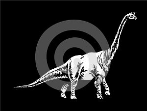 Graphical diplodocus isolated on black background,vector