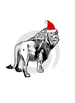 Graphical lion in Santa Claus hat isolated on white background,vector illustration. Christmas element in design