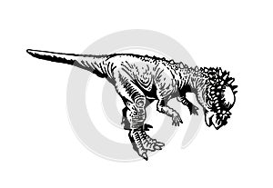 Graphical Pachycephalosaurus isolated on white background, vector element
