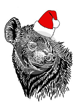 Graphical portrait of hyena in Santa Claus hat isolated on white background,vector illustration,African animal