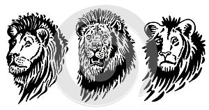 Graphical portraits of lion on white background , ink pen illustration