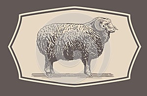 Graphical Ram, Sheep photo