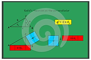 The Euclid`s theorem on the perpendicularity