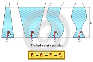 The graphical representation of the hydrostatic paradox