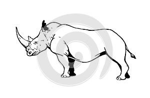 Graphical rhino  isolated on white,vector illustration,lined art