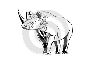 Graphical rhino isolated on white,vector illustration,lined art