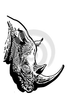 Graphical rhino portrait isolated on white background,vector tattoo illustration