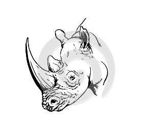 Graphical rhino portrait isolated on white,vector illustration,lined art