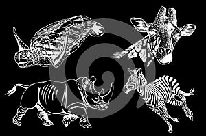 Graphical set of African animals isolated on black background,vector illustration