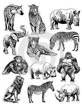 Graphical set of African animals isolated on white background, jpg illustration