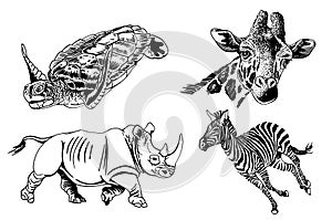 Graphical set of African animals isolated on white background,vector illustration