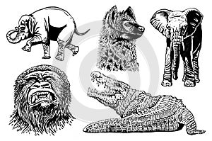 Graphical set of African animals isolated on white, vector illustration