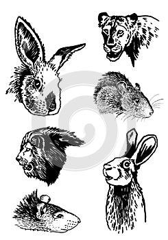 Graphical set of animals , portraits of lioness,bunny and rat isolated on white background